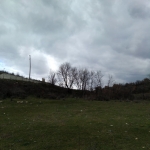 Парцел в Кочериново - 8500 кв.м за 6 €/кв.м - Снимка #1