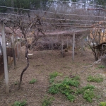 Парцел в с. Невестино, Област Кюстендил - 700 кв.м за 16 €/кв.м - Снимка #1