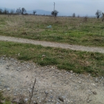 Парцел в с. Ябълково, Област Хасково - 2450 кв.м за 6 €/кв.м - Снимка #1