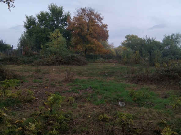 Парцел в с. Самораново, Област Кюстендил - 900 кв.м за 48 €/кв.м - Снимка #1