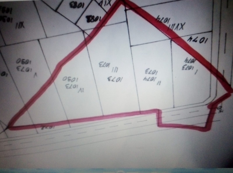 Парцел в Костандово - 3900 кв.м за 21 €/кв.м - Снимка #1