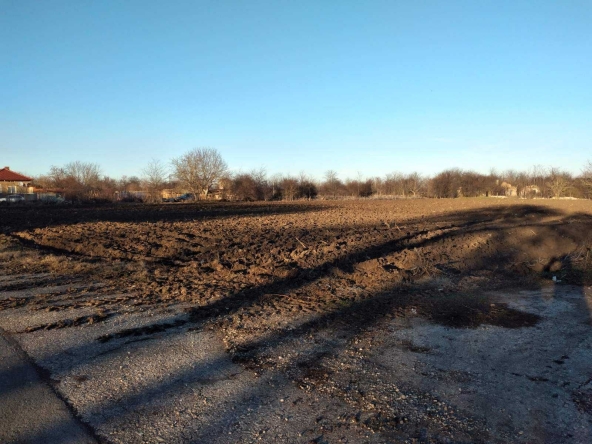 Парцел в с. Сърнино, Област Добрич - 8200 кв.м за 3 €/кв.м - Снимка #1