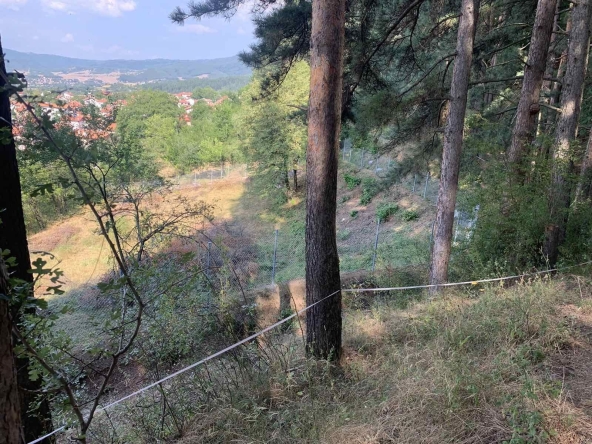 Парцел в Сапарева баня - 1400 кв.м за 55 €/кв.м - Снимка #1