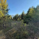 Парцел в Разлог - 760 кв.м за 19 €/кв.м - Снимка #1