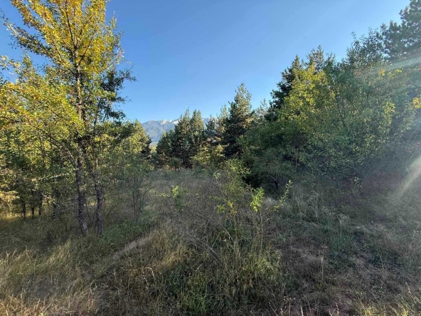 Парцел в Разлог - 760 кв.м за 19 €/кв.м - Снимка #1