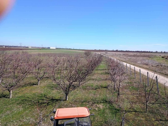 Земеделски имот в Пловдив, Тракия -  кв.м за 2550 €/дка - Снимка #1