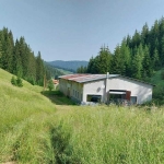 Къща в к.к. Пампорово - 800 кв.м за 211 €/кв.м - Снимка #1