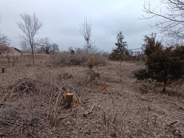 Парцел в с. Козаревец, Област Велико Търново - 1337 кв.м за 9 €/кв.м - Снимка #1