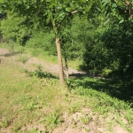 Земеделски имот в с. Драгановци, Област Габрово -  кв.м за 4080 €/дка - Снимка #1