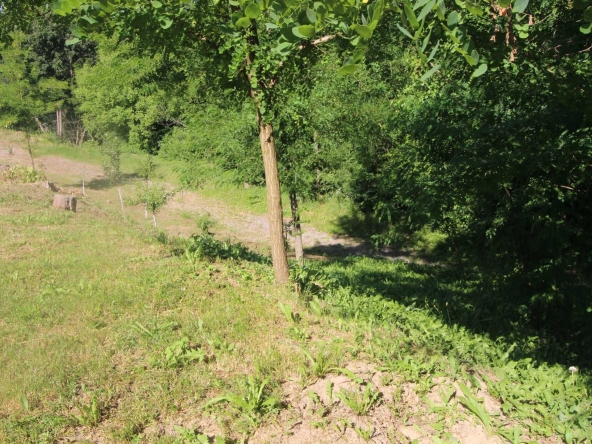 Земеделски имот в с. Драгановци, Област Габрово -  кв.м за 4080 €/дка - Снимка #1