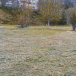 Земеделски имот в с. Искрец, Област София-област -  кв.м за 15 €/дка - Снимка #1