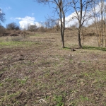 Парцел в с. Лозница, Област Добрич - 10001 кв.м за 0 €/кв.м - Снимка #1