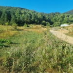 Дава се под наем Тристаен апартамент в к.к. Златни пясъци - 160 кв.м за 299241.99 € - Снимка #1