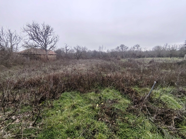 Парцел в Провадия - 2200 кв.м за 4 €/кв.м - Снимка #1