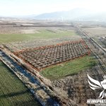 Земеделски имот в Асеновград -  кв.м за 2975 €/дка - Снимка #1