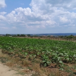 Парцел в Белослав - 1000 кв.м за 21 €/кв.м - Снимка #1