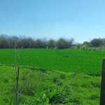 Парцел в с. Смин, Област Добрич - 2400 кв.м за 3 €/кв.м - Снимка #1