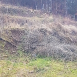 Парцел в Кюстендил, Колуша - 400 кв.м за 41 €/кв.м - Снимка #1