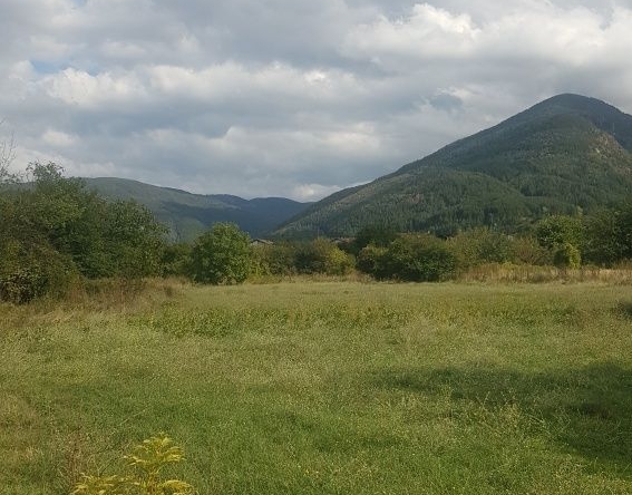 Парцел в Сапарева баня - 10760 кв.м за 51 €/кв.м - Снимка #1