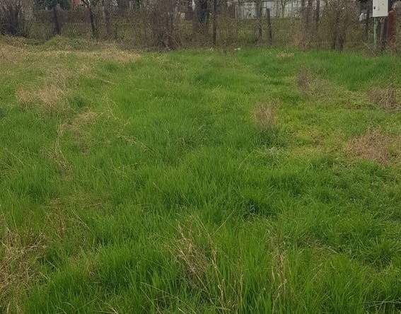 Парцел в с. Слокощица, Област Кюстендил - 700 кв.м за 37 €/кв.м - Снимка #1