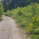 Парцел в Кюстендил, Център - 1430 кв.м за 39 €/кв.м - Снимка #1