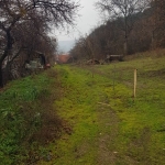 Парцел в Сапарева баня - 1130 кв.м за 45 €/кв.м - Снимка #1