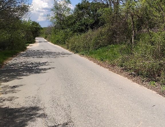 Парцел в с. Бараково, Област Кюстендил - 990 кв.м за 9 €/кв.м - Снимка #1