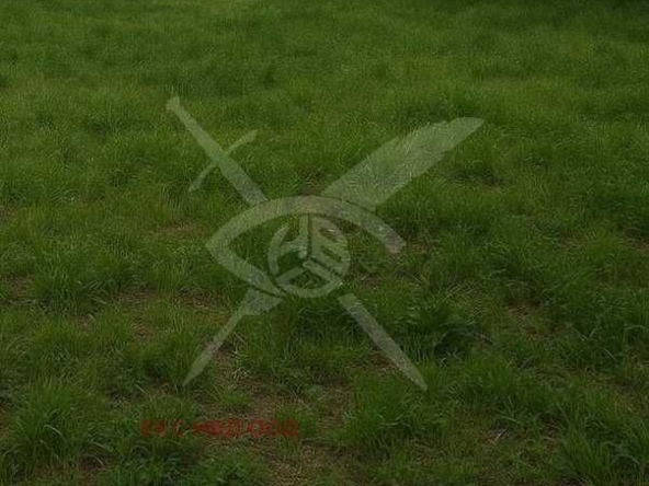 Парцел в Айтос - 792 кв.м за 14 €/кв.м - Снимка #1