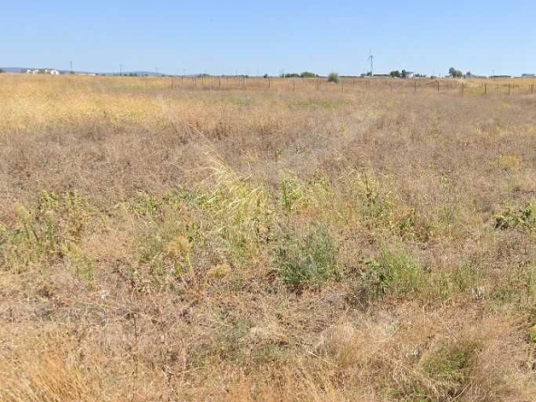 Парцел в с. Веселие, Област Бургас - 22350 кв.м за 1 €/кв.м - Снимка #1