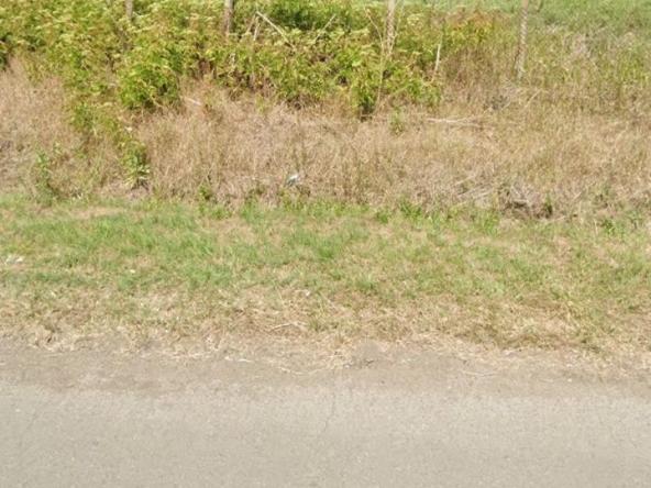 Парцел в с. Русокастро, Област Бургас - 2080 кв.м за 8 €/кв.м - Снимка #1