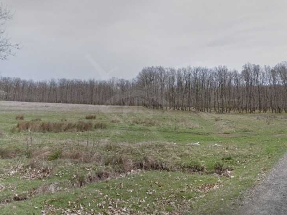 Парцел в Каблешково - 9638 кв.м за 20 €/кв.м - Снимка #1