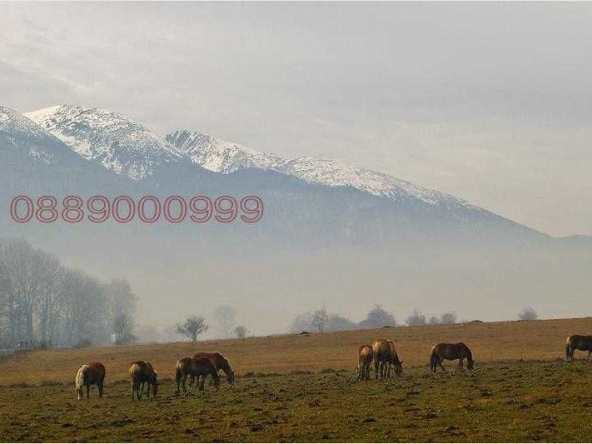 Парцел в с. Годлево, Област Благоевград - 9600 кв.м за 10 €/кв.м - Снимка #1