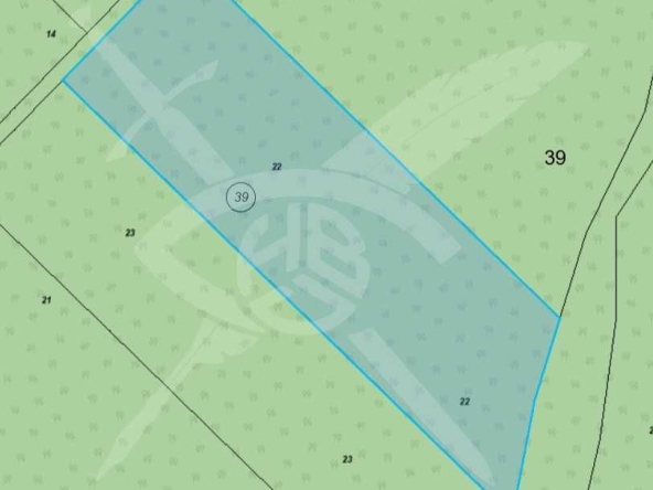 Парцел в с. Индже войвода, Област Бургас - 14000 кв.м за 1 €/кв.м - Снимка #1