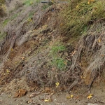 Парцел в Кюстендил, Колуша - 590 кв.м за 33 €/кв.м - Снимка #1