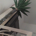 Едностаен апартамент в к.к. Слънчев бряг - 39 кв.м за 275 €/кв.м - Снимка #1