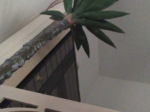 Едностаен апартамент в к.к. Слънчев бряг - 39 кв.м за 275 €/кв.м - Снимка #1