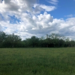 Парцел в Търговище, Вилна зона - 894 кв.м за 12 €/кв.м - Снимка #1