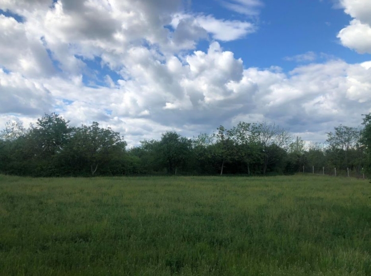 Парцел в Търговище, Вилна зона - 894 кв.м за 12 €/кв.м - Снимка #1