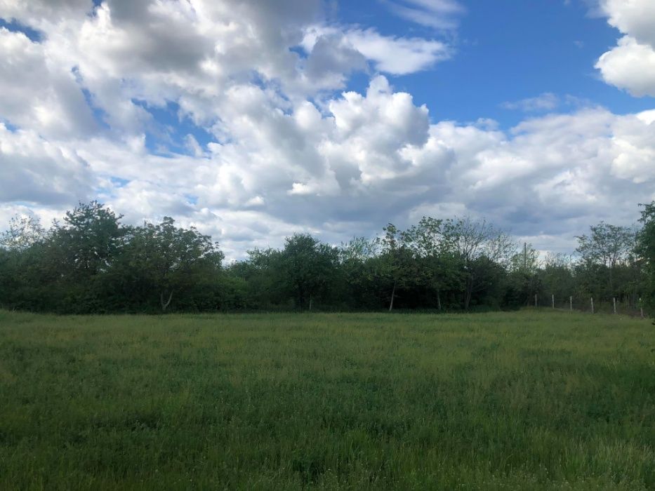 Парцел в Търговище, Вилна зона - 894 кв.м за 12 €/кв.м - Снимка #1