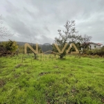 Парцел в с. Генерал Кантарджиево, Област Варна - 1530 кв.м за 23 €/кв.м - Снимка #1