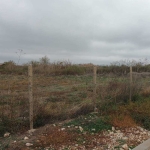 Парцел в с. Нейково, Област Добрич - 2450 кв.м за 4 €/кв.м - Снимка #1