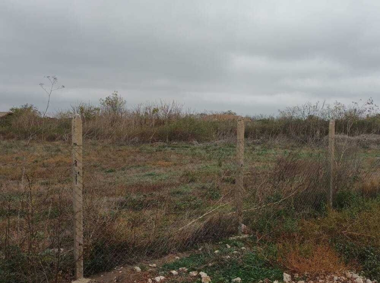 Парцел в с. Нейково, Област Добрич - 2450 кв.м за 4 €/кв.м - Снимка #1