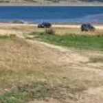 Парцел в Батак - 10600 кв.м за 9 €/кв.м - Снимка #1