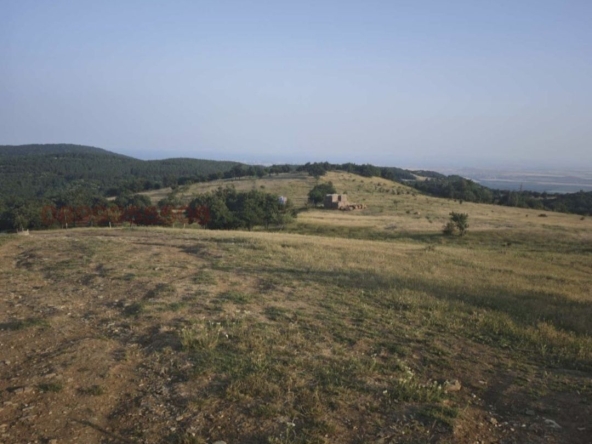 Парцел в с. Кошарица, Област Бургас - 8828 кв.м за 18 €/кв.м - Снимка #1