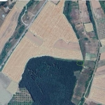 Земеделски имот в Варна, Базар Левски -  кв.м за 510 €/дка - Снимка #1