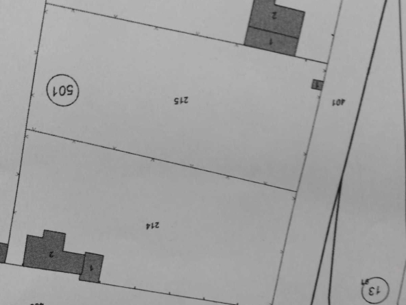 Парцел в с. Крислово, Област Пловдив - 1250 кв.м за 38 €/кв.м - Снимка #1
