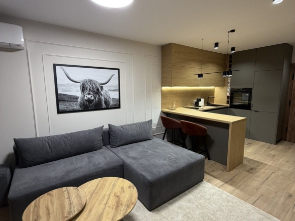 Дава се под наем Двустаен апартамент в Пловдив, Център - 70 кв.м за 747.66 € - Снимка #1