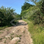 Парцел в с. Въглен, Област Варна - 9000 кв.м за 2 €/кв.м - Снимка #1