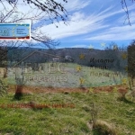 Парцел в с. Кондофрей, Област Перник - 715 кв.м за 11 €/кв.м - Снимка #1