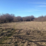 Парцел в с. Бежаново, Област Добрич - 3830 кв.м за 3 €/кв.м - Снимка #1